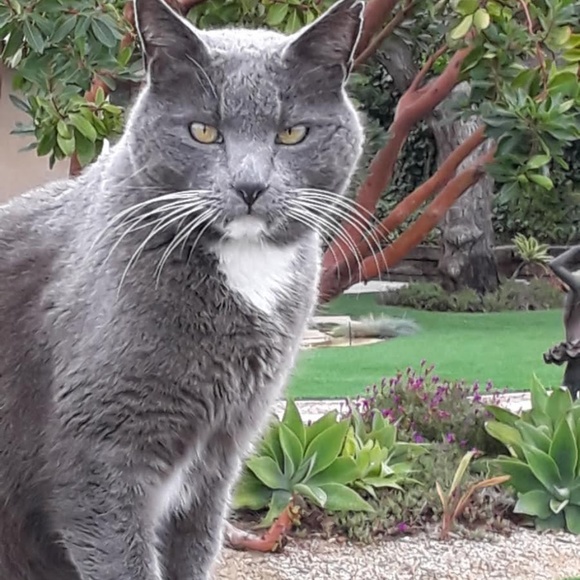 Meet your Posher, Crystal - Picture 2 of 4